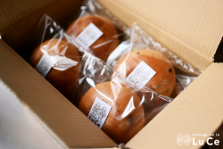 10個セット 箱